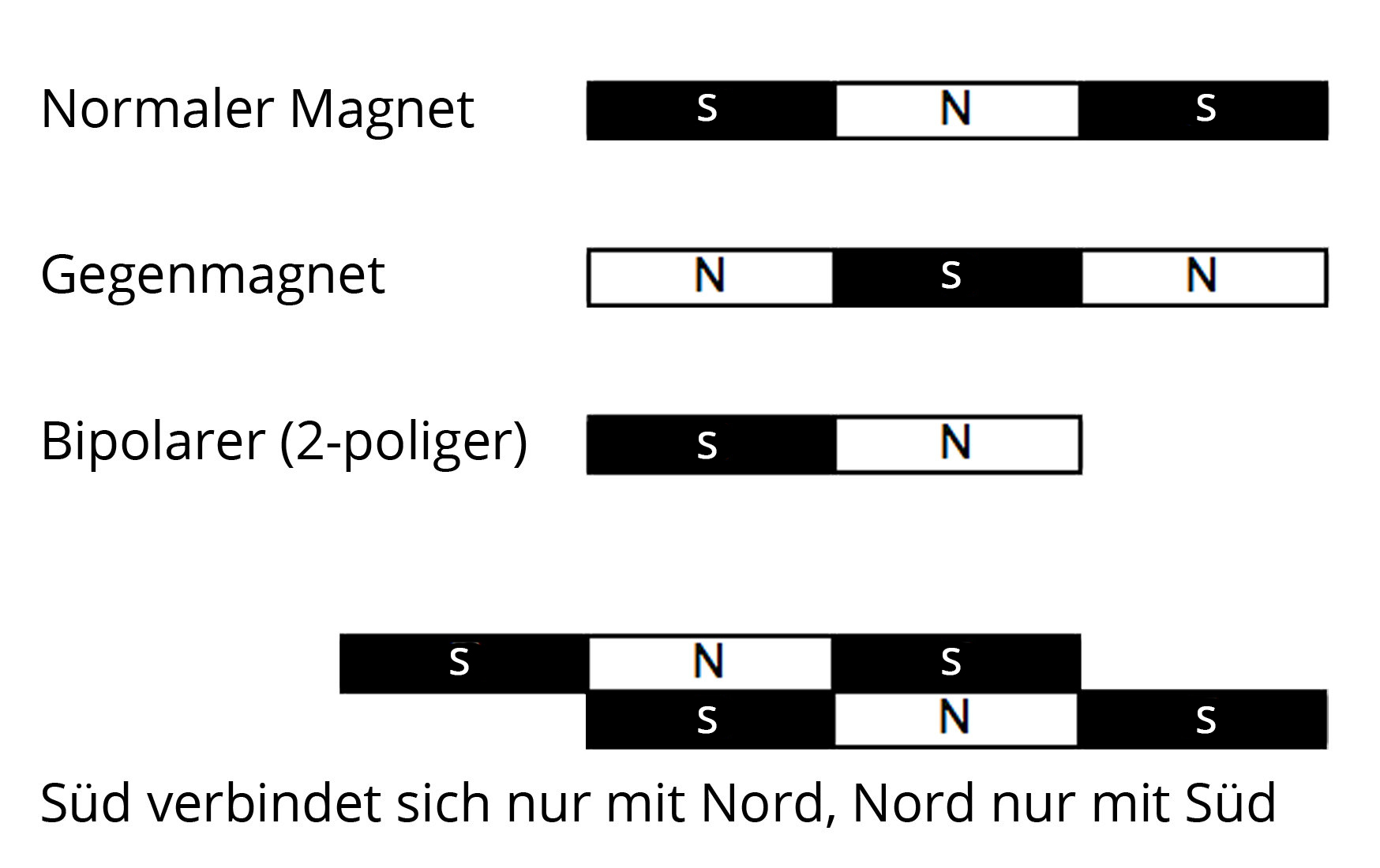 Funktion-der-magnete-bei-kühlschrankdichtungen